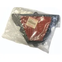 Filtro Aria Originale Kawasaki per Z1000 (ABS) 2010/12 110130040