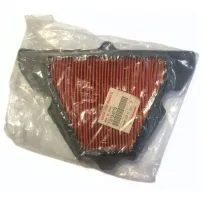 Filtro Aria Originale Kawasaki per varie Moto dal 2010 al 2025 110130712