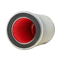 Filtro Aria Originale Honda per CBF600 e CB 600 F Hornet 1998/2007 17230KEA020