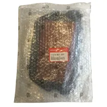 Filtro Aria Originale Honda per CBR XX Super Blackbird 1100 1996/98 17210MAT000
