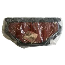 Filtro Aria Originale Kawasaki per Ninja ZX-6R/6RR 600/636 2003/04 110131301