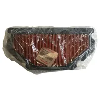 Filtro Aria Originale Kawasaki per Ninja ZX-6R/6RR 600/636 2003/04 110131301